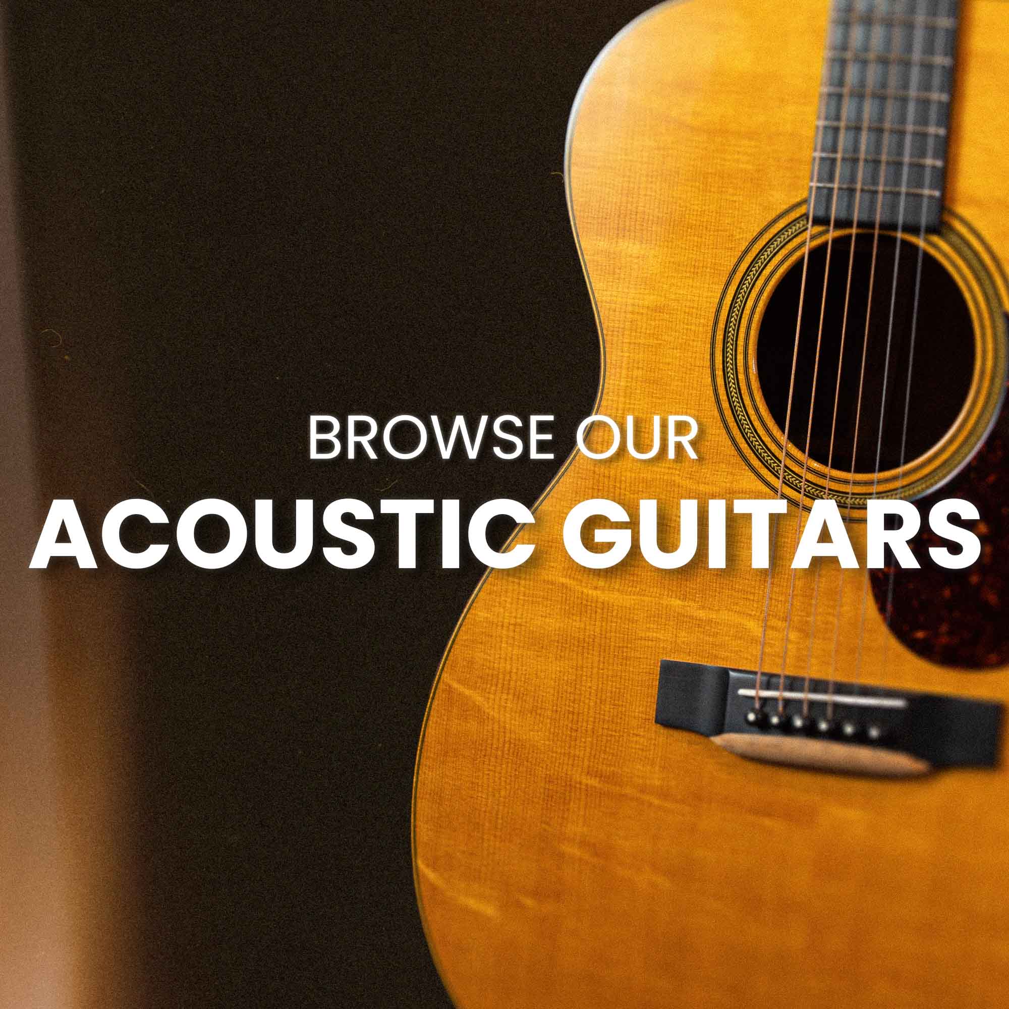 Acoustic Guitars