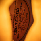 2025 Gibson ES-335 Figured - Honey Amber