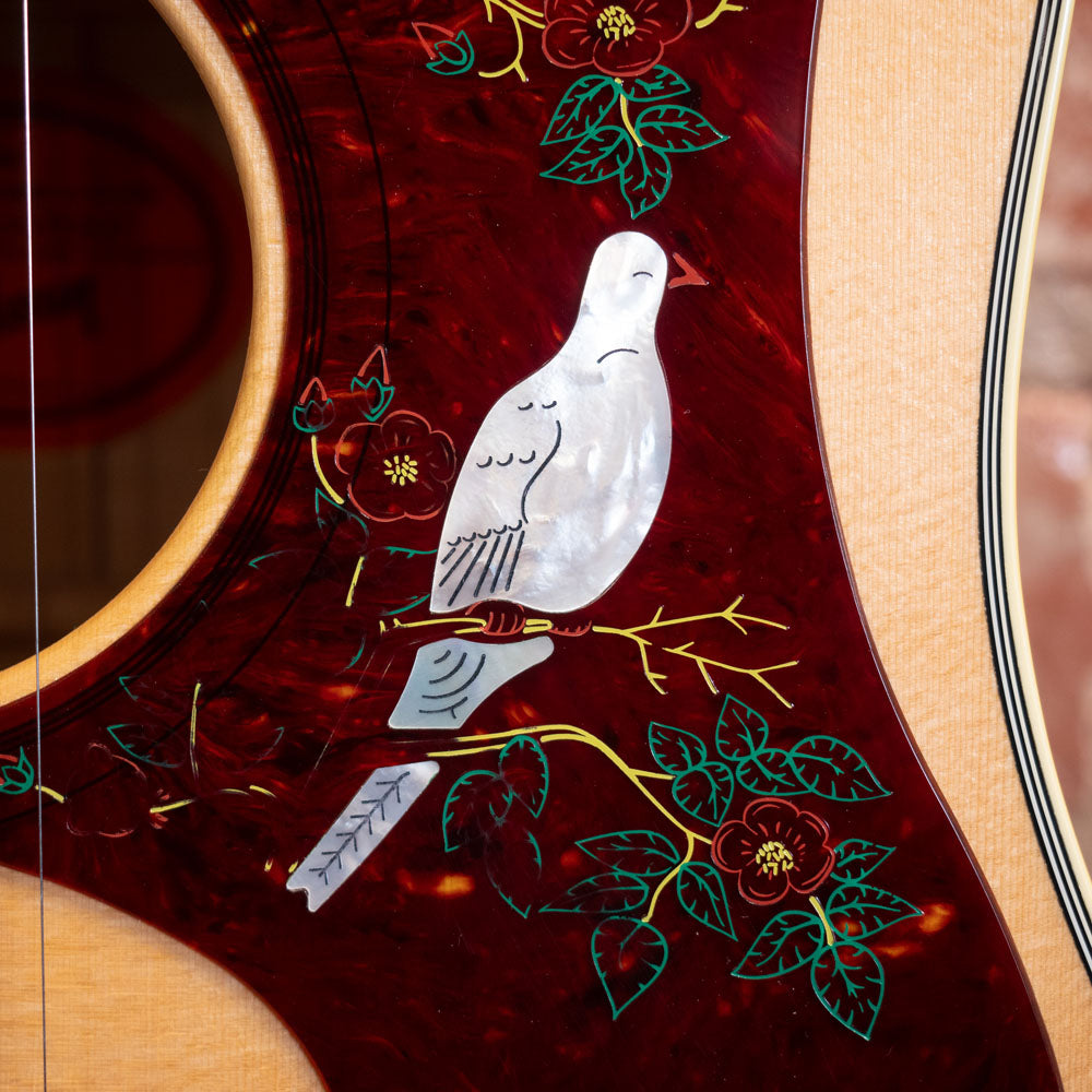 2022 Gibson Dove - Natural