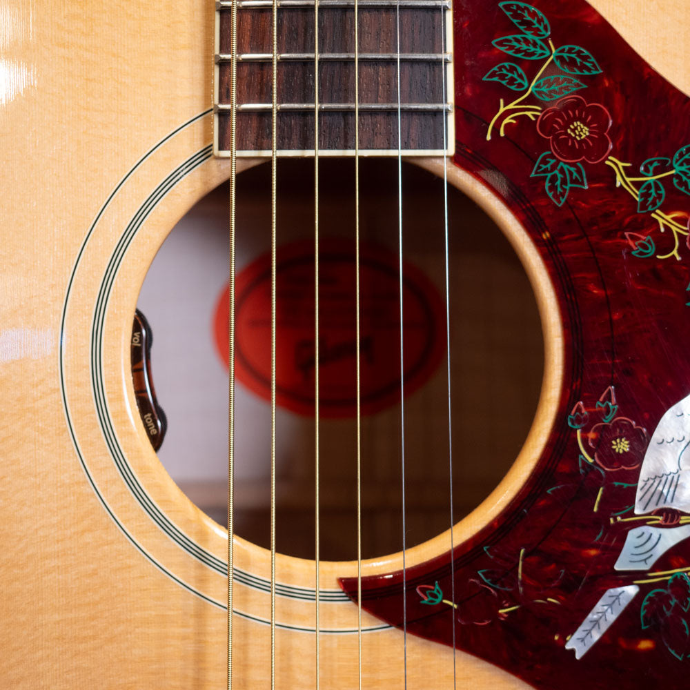 2022 Gibson Dove - Natural