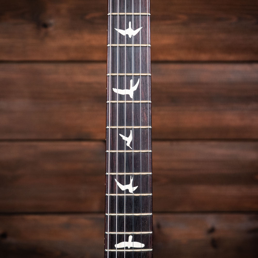 PRS CE 24 Limited Edition - Sprayer's Choice
