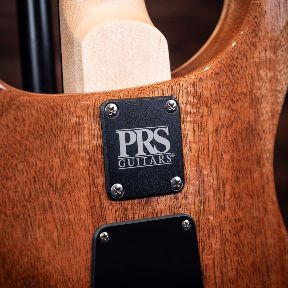 PRS CE 24 Semi-Hollow - Faded Abalone