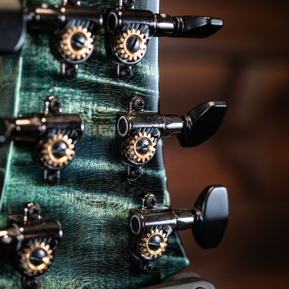 PRS Custom 24-08 10 Top - Sage