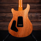 PRS Custom 24 - Aurora Borealis