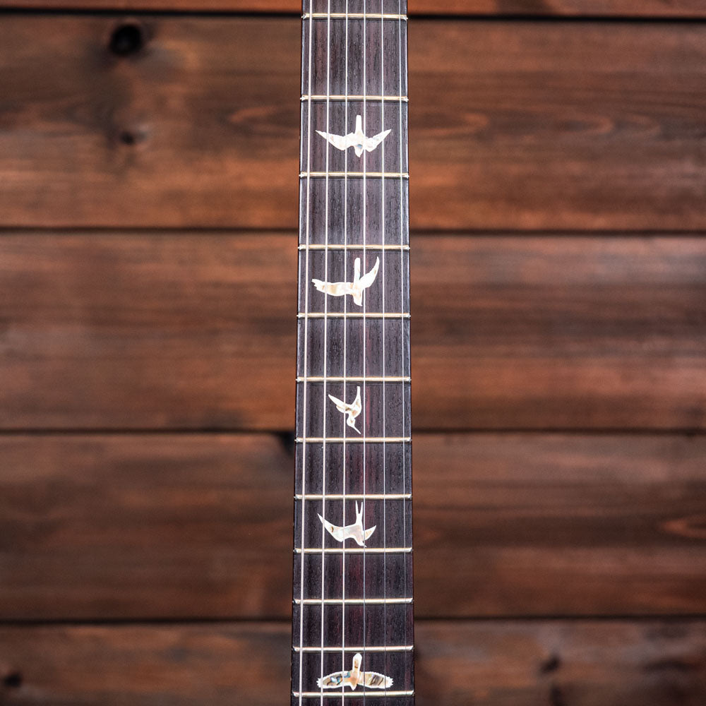 PRS Custom 24 - Aurora Borealis