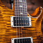 PRS Custom 24 - Black Gold