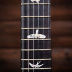 PRS Custom 24 - Faded Whale Blue