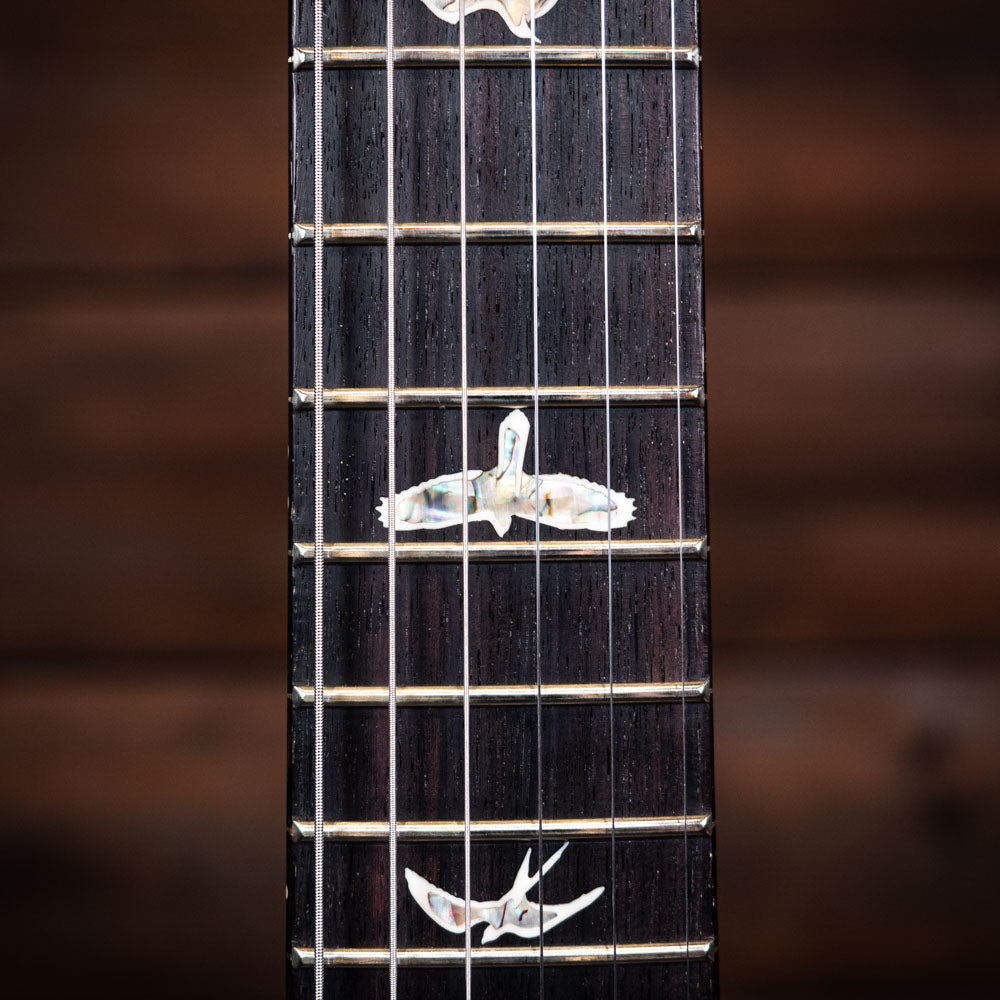 PRS Custom 24 - Faded Whale Blue