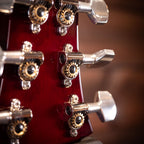 2019 PRS Custom 24 Floyd Rose - Fire Smokeburst