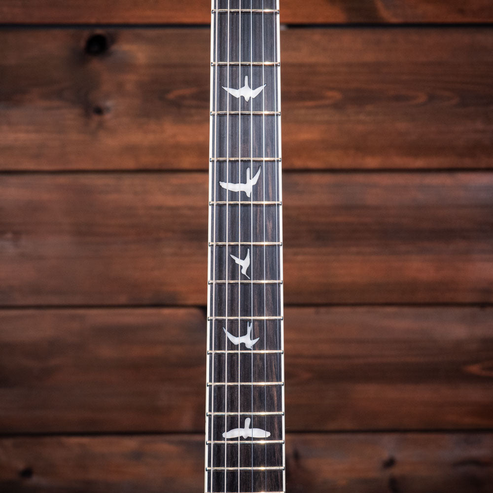 PRS SE Custom 24 Quilt - Teal Black