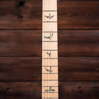 PRS SE NF53 - Black Doghair