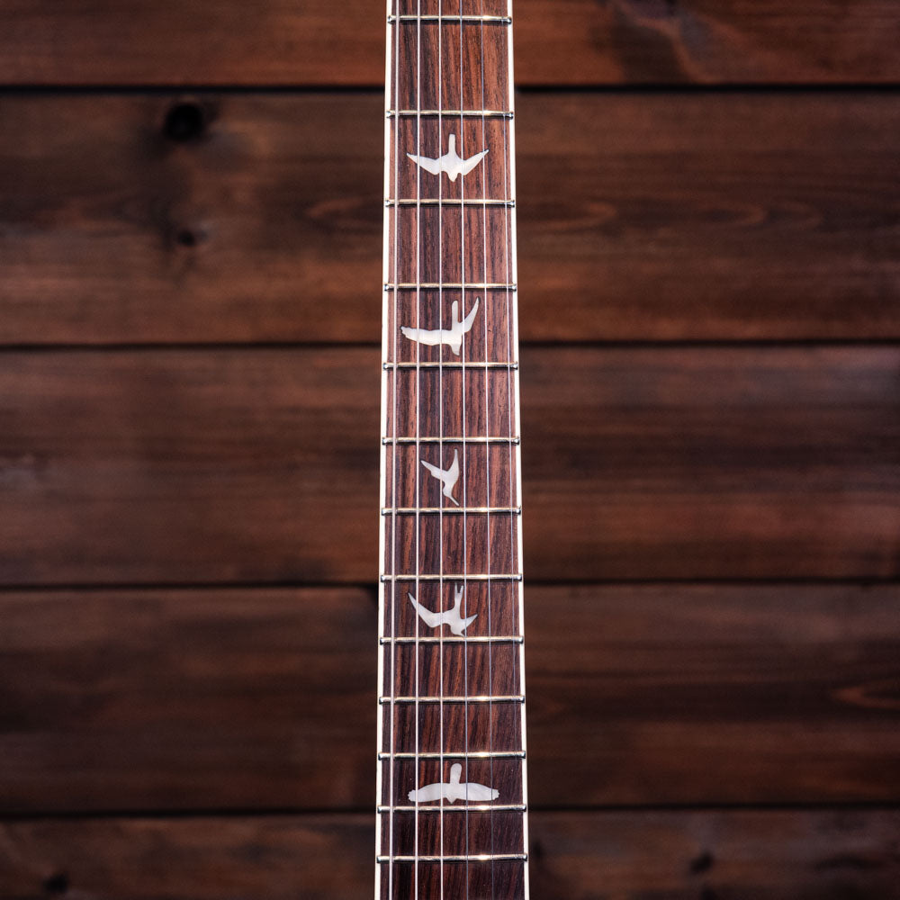 PRS SE Zach Myers - Myers Blue