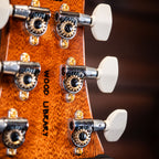 PRS Wood Library Custom 24-08 Limited Edition 10-Top - Red Tiger