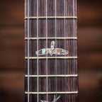 PRS Wood Library Custom 24-08 Limited Edition 10-Top - Red Tiger