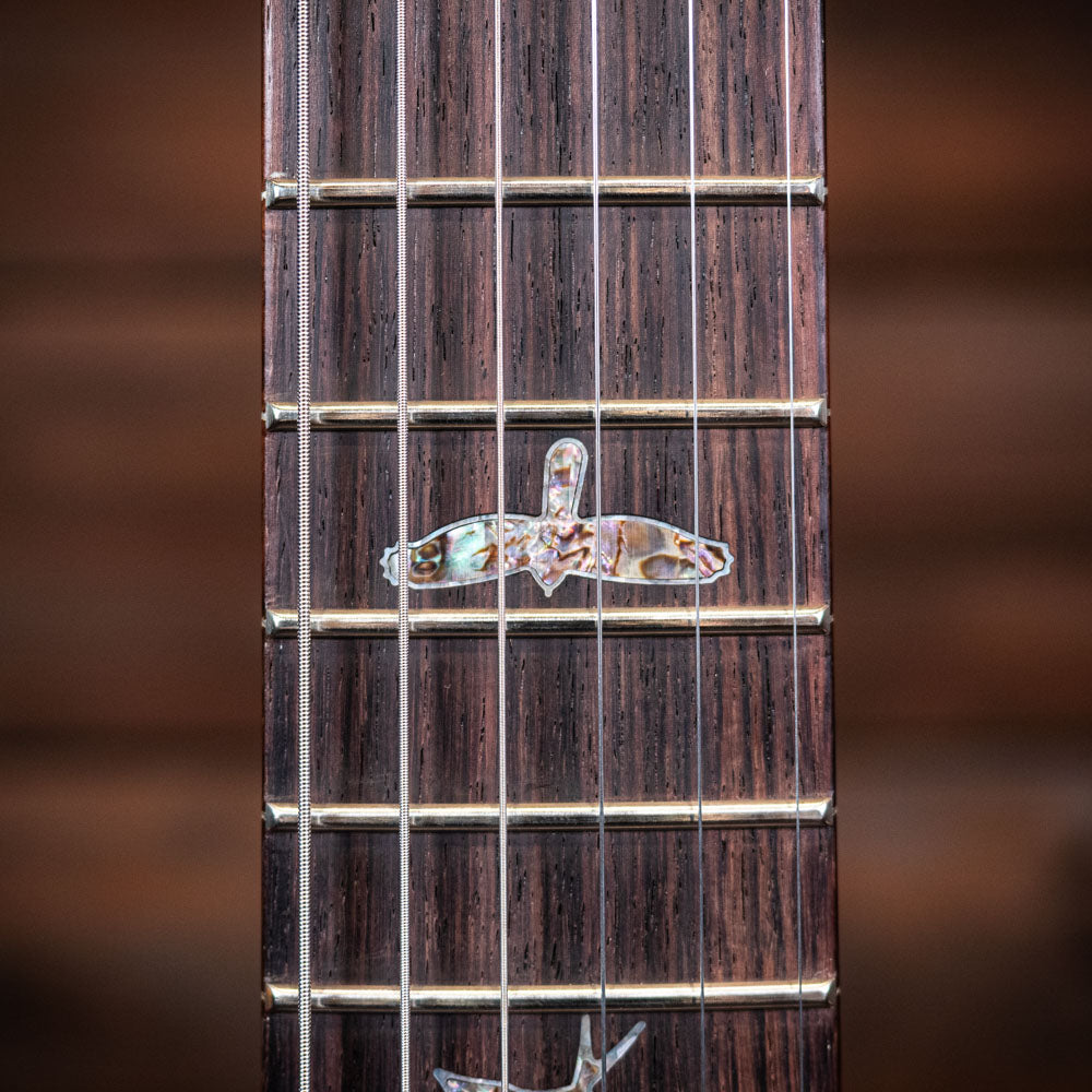 PRS Wood Library Custom 24-08 Limited Edition 10-Top - Red Tiger