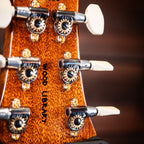 PRS Wood Library Custom 24-08 10-Top - Violet